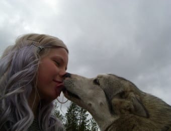 Family activity week in Lapland